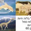 זוג פאזלים תלת מימד בלזה גדולים - בעלי חיים