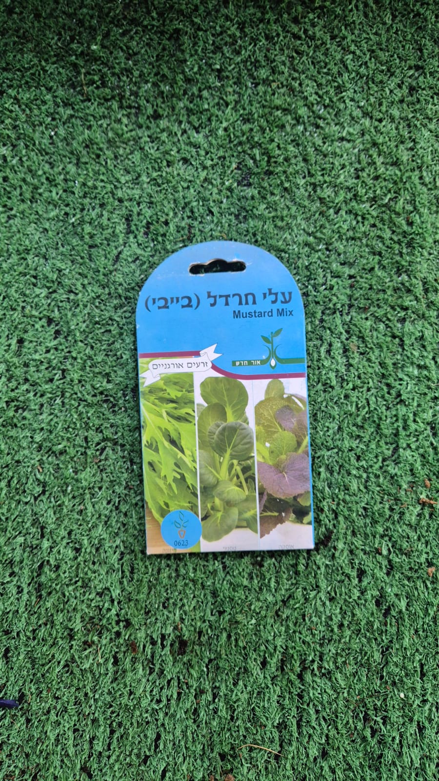 זרעים - עלי חרדל (בייבי)