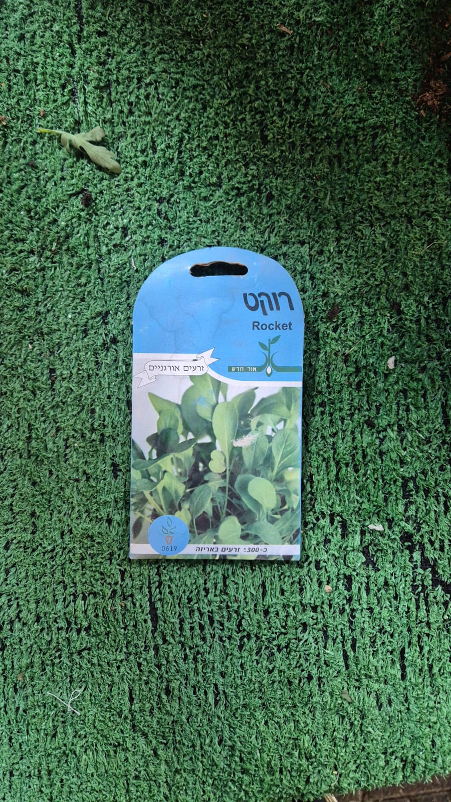 זרעים - רוקט