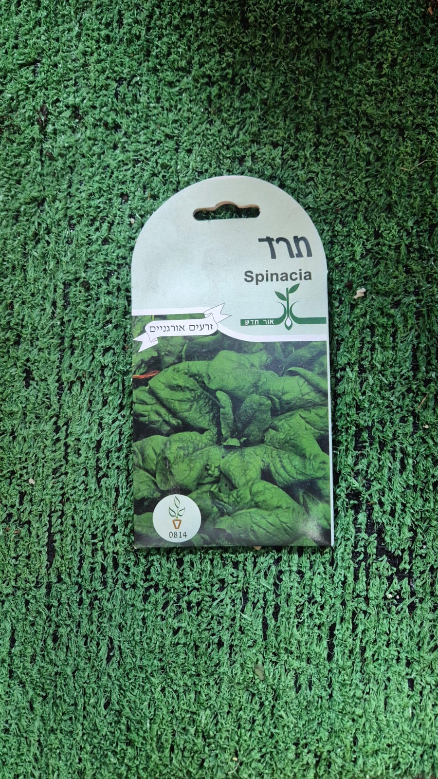 זרעים - תרד