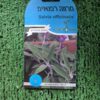 זרעים - מרווה רפואית