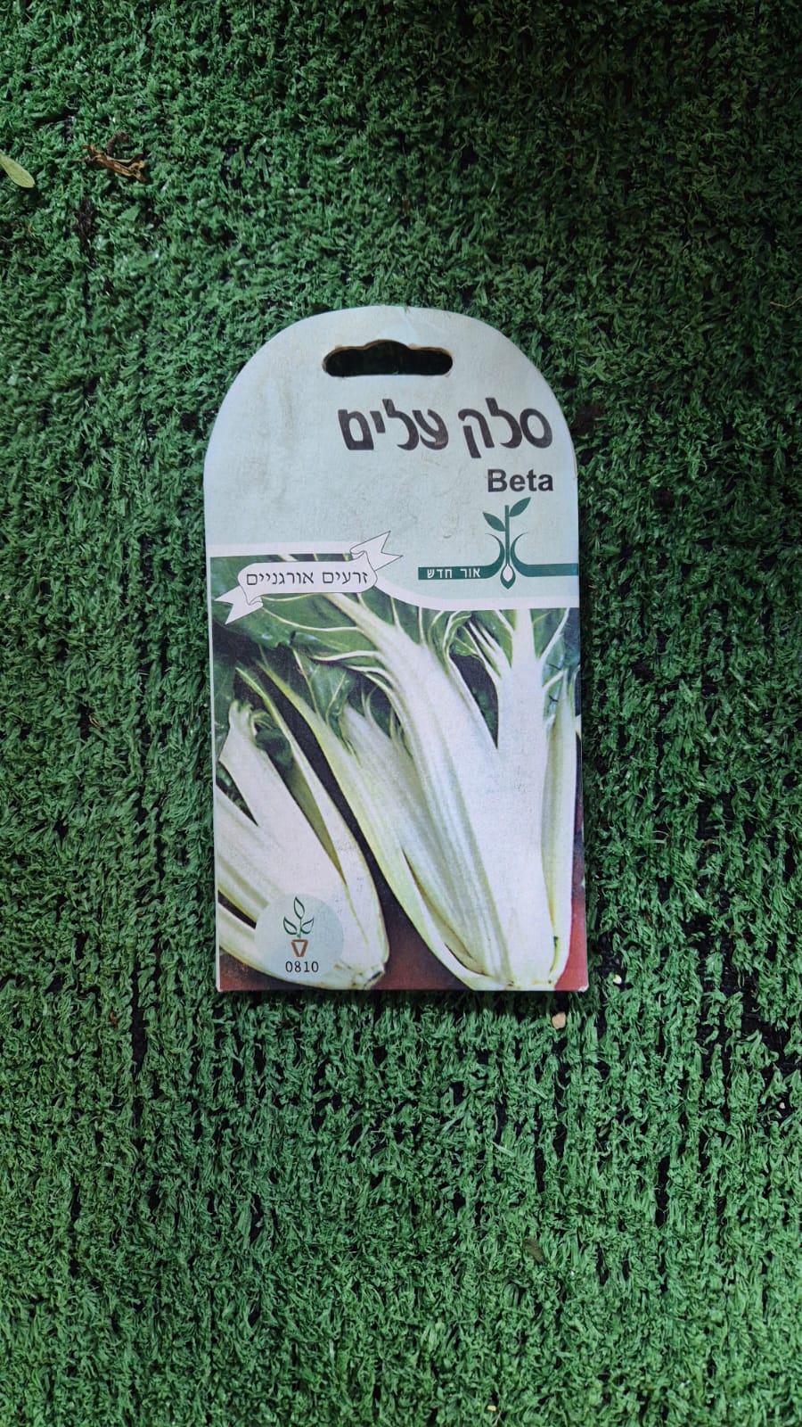 זרעים - סלק עלים