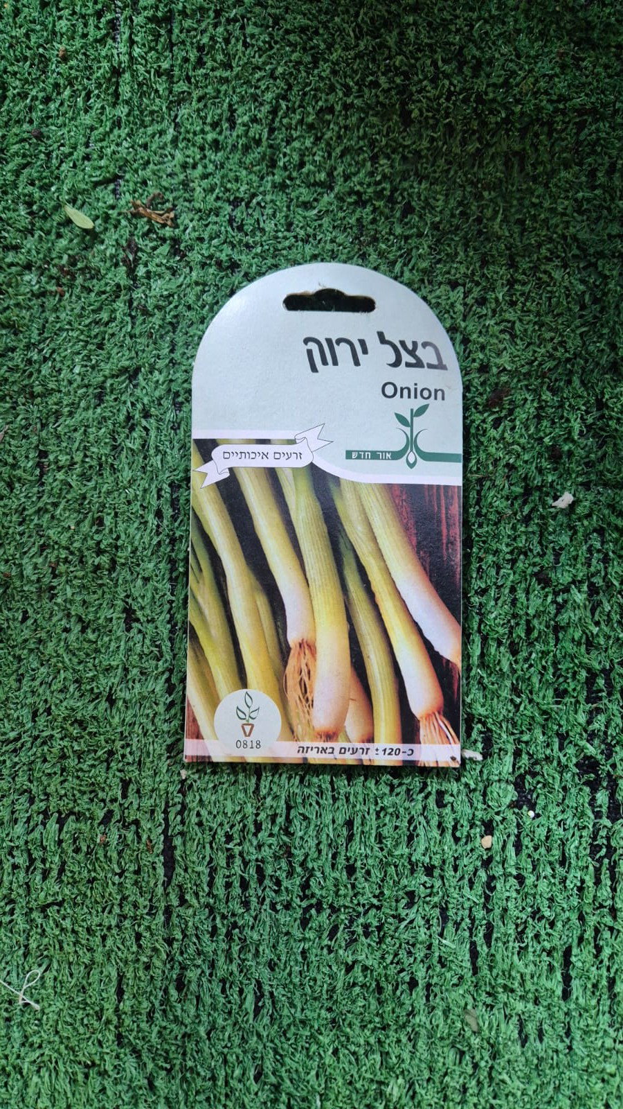 זרעים - בצל ירוק