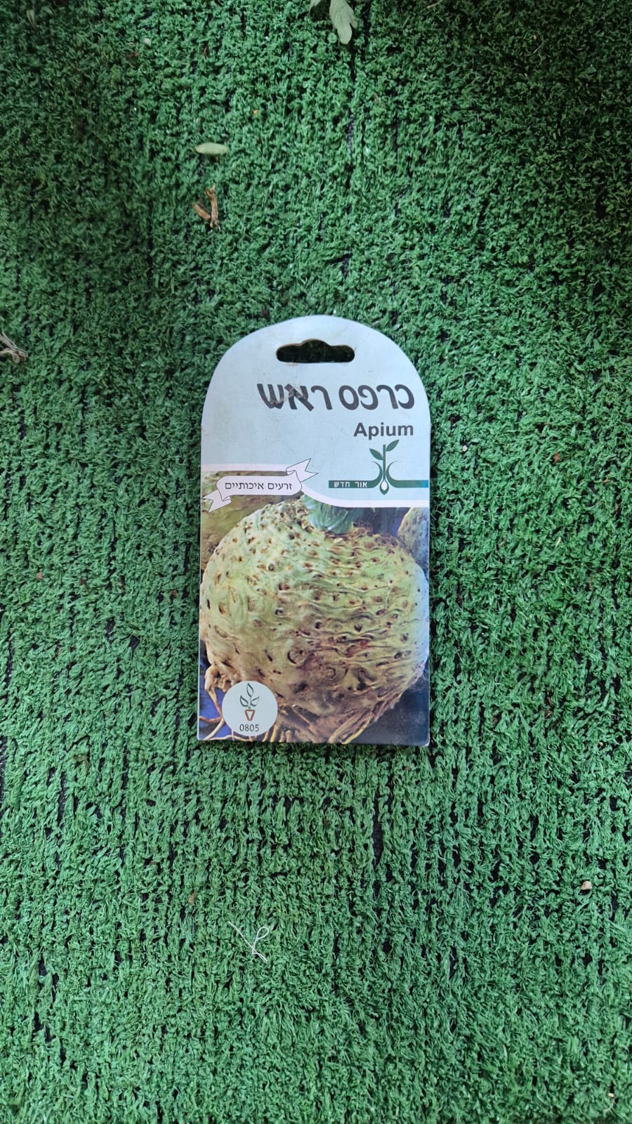 זרעים - כרפס ראש