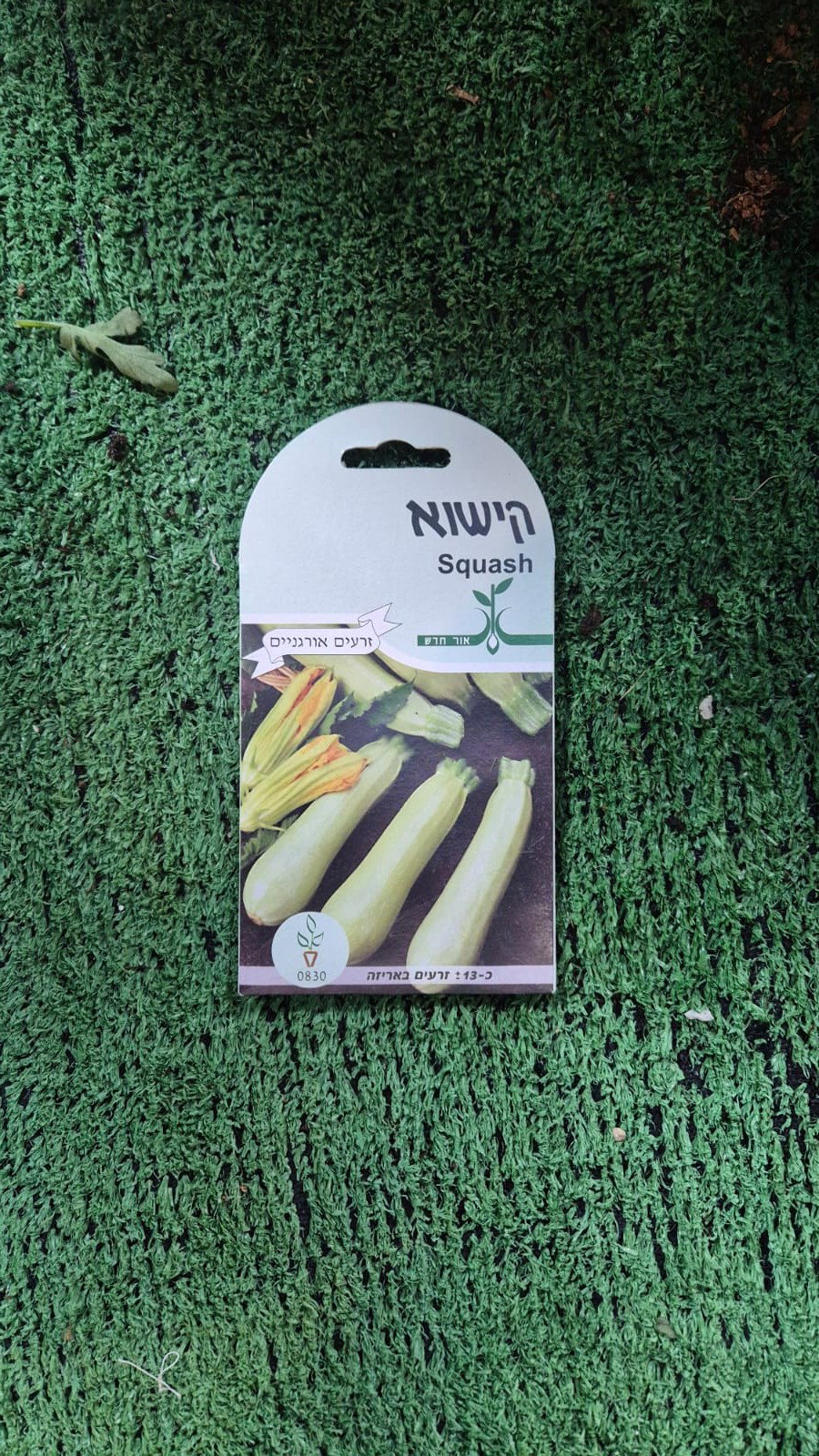 זרעים - קישוא