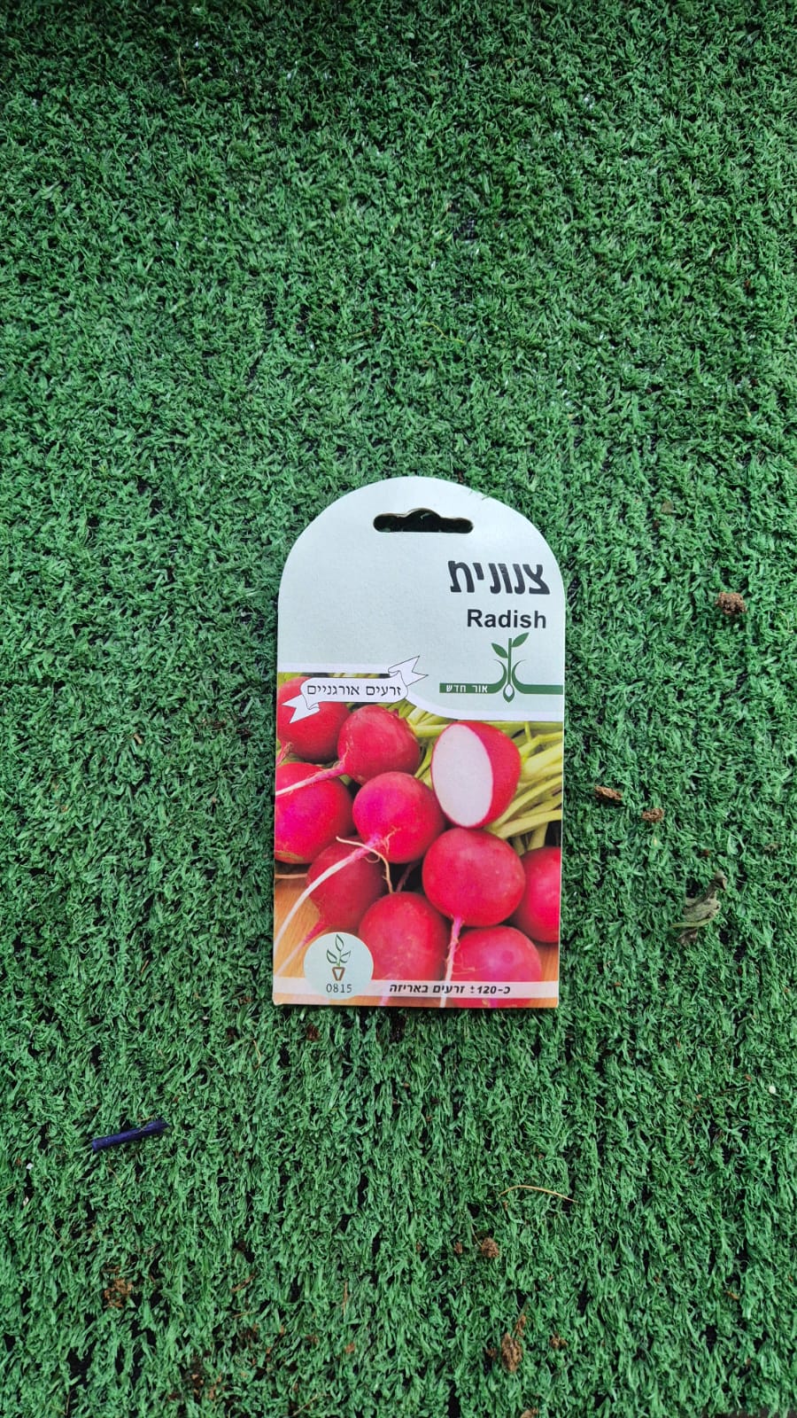 זרעים - צנונית