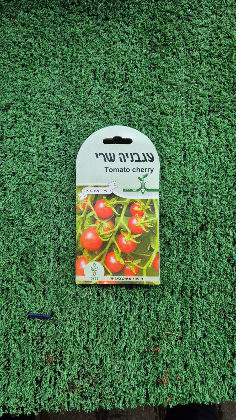 זרעים - עגבניה שרי