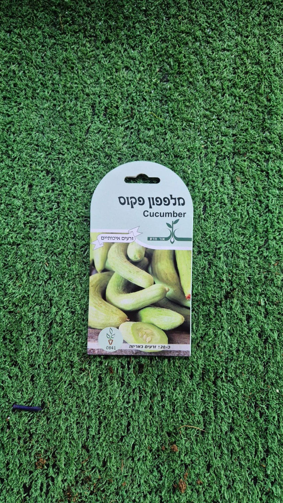 זרעים - מלפפון פקוס