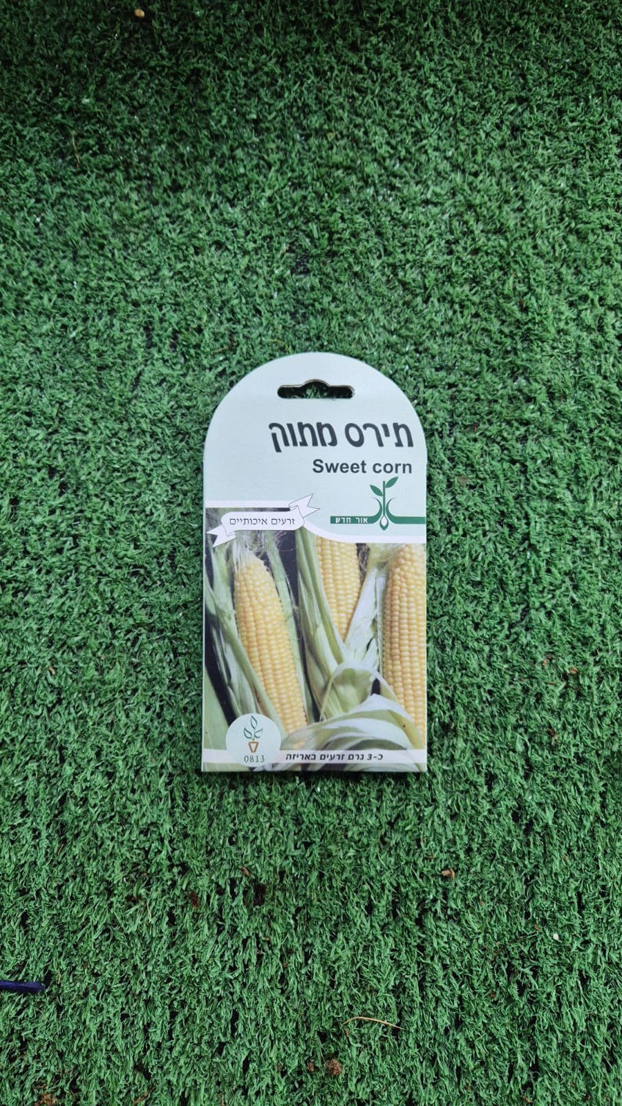 זרעים - תירס מתוק