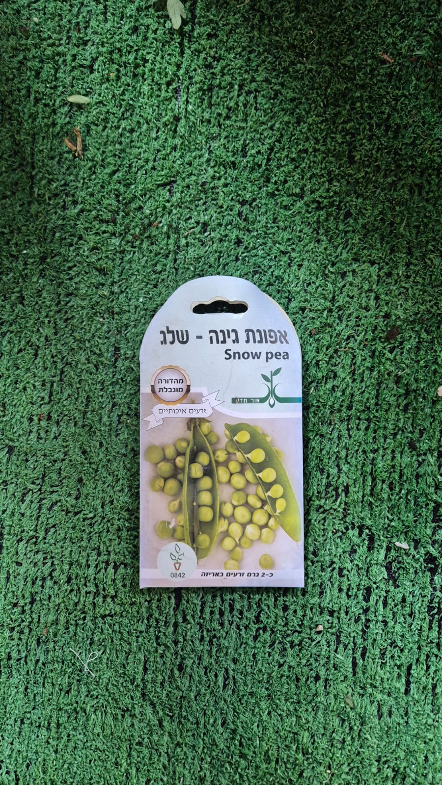 זרעים - אפונת גינה (שלג)