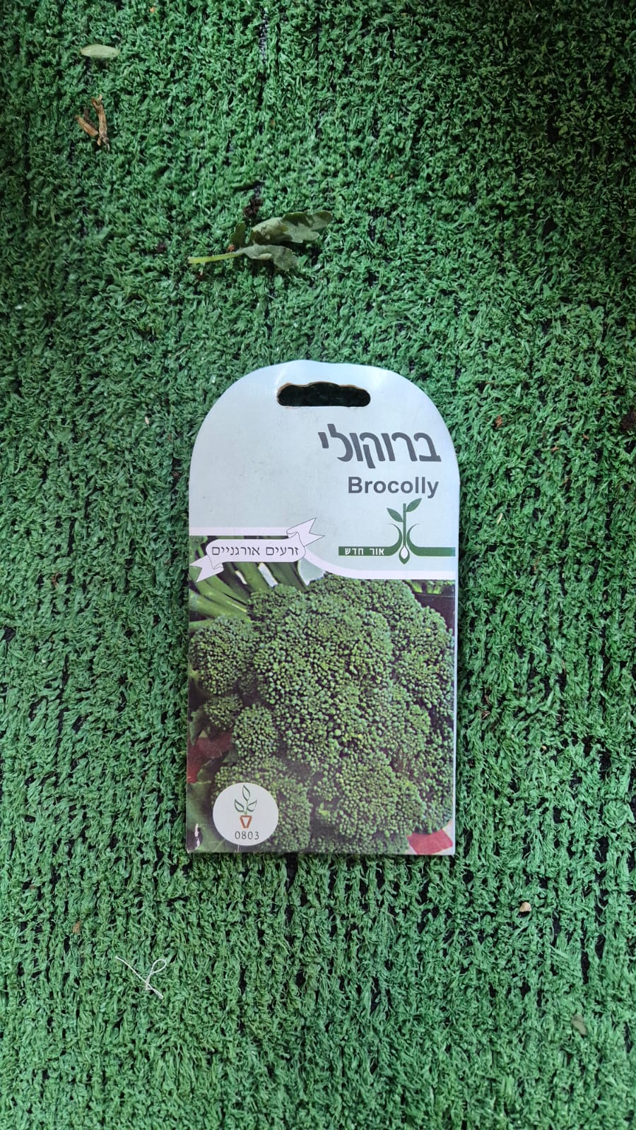 זרעים - ברוקולי