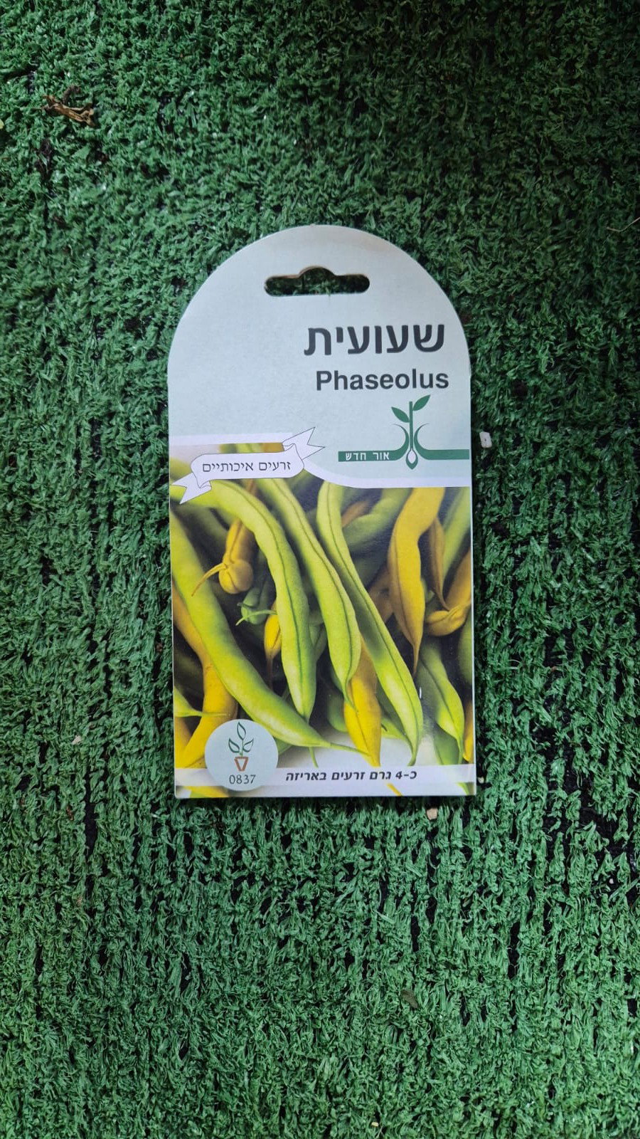 זרעים - שעועית
