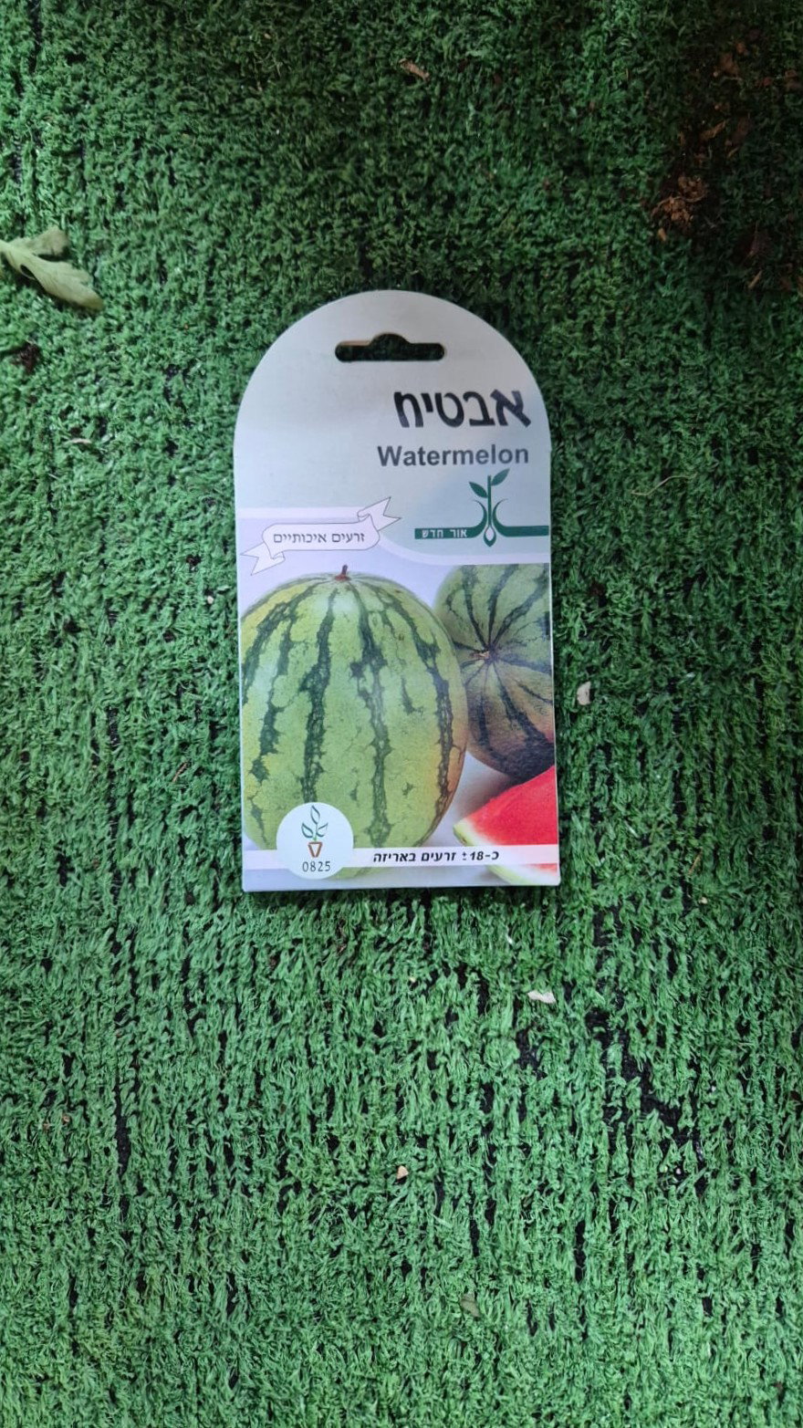זרעים - אבטיח