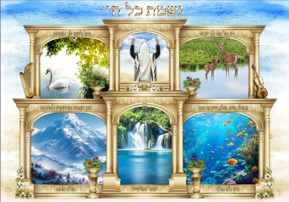 בד לסוכה נוף "נשמת כל חי"